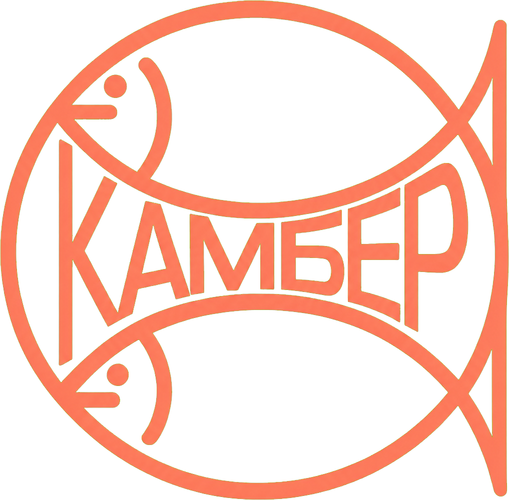 Логотип ООО «Камбер»